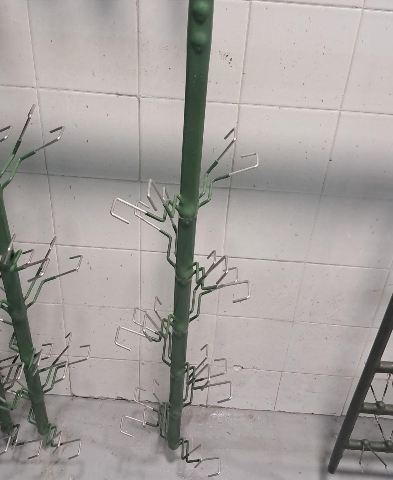 whatsapp image 2026 02 05 at 16.46.47